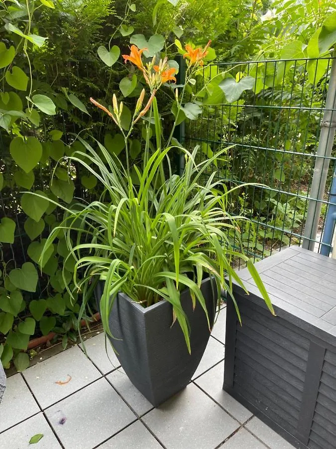 Lägenhet Sonnige Wohnung Im Zentrum Mit Terrasse U Tiefgarage - Netflix & Prime Leipzig